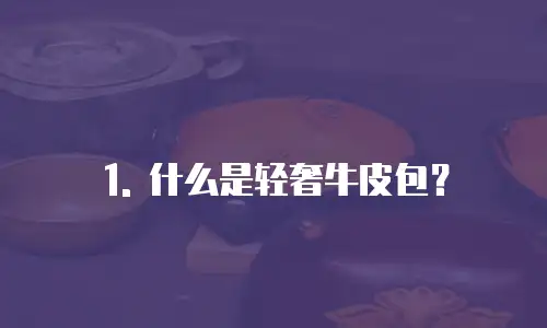 1. 什么是轻奢牛皮包？