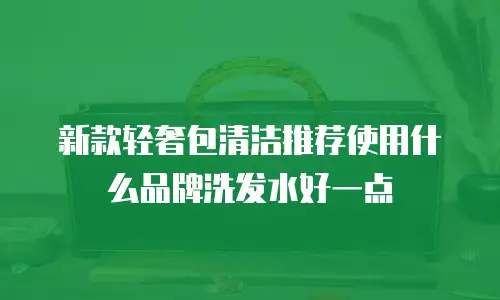 新款轻奢包清洁推荐使用什么品牌洗发水好一点