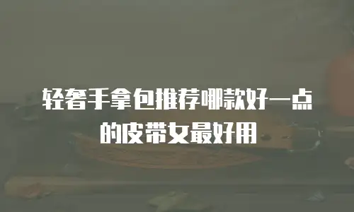 轻奢手拿包推荐哪款好一点的皮带女最好用