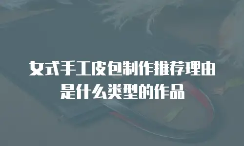 女式手工皮包制作推荐理由是什么类型的作品