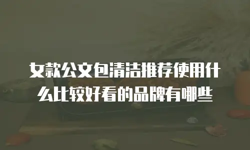 女款公文包清洁推荐使用什么比较好看的品牌有哪些