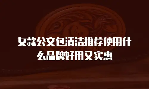 女款公文包清洁推荐使用什么品牌好用又实惠