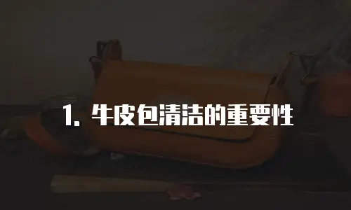 1. 牛皮包清洁的重要性