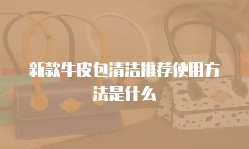 新款牛皮包清洁推荐使用方法是什么