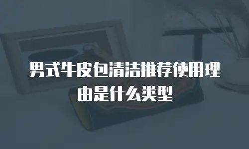 男式牛皮包清洁推荐使用理由是什么类型