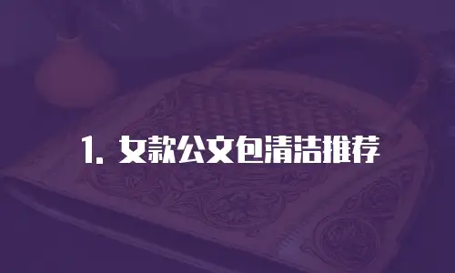 1. 女款公文包清洁推荐