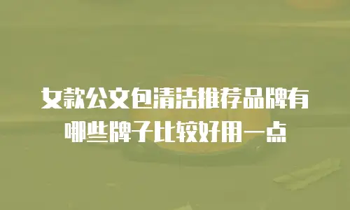 女款公文包清洁推荐品牌有哪些牌子比较好用一点