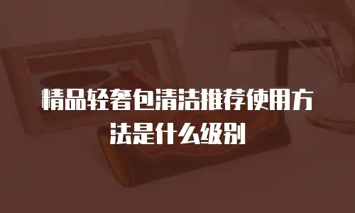 精品轻奢包清洁推荐使用方法是什么级别