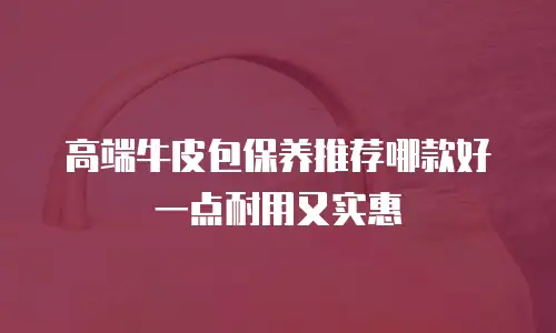高端牛皮包保养推荐哪款好一点耐用又实惠