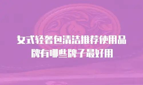 女式轻奢包清洁推荐使用品牌有哪些牌子最好用