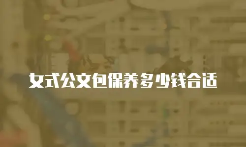 女式公文包保养多少钱合适