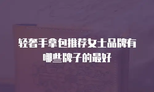 轻奢手拿包推荐女士品牌有哪些牌子的最好