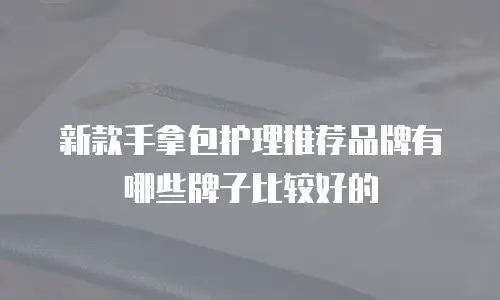 新款手拿包护理推荐品牌有哪些牌子比较好的