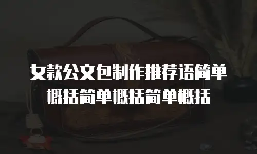 女款公文包制作推荐语简单概括简单概括简单概括