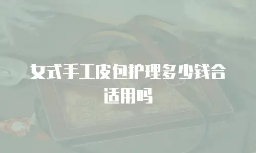 女式手工皮包护理多少钱合适用吗