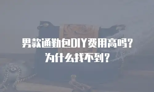 男款通勤包DIY费用高吗？为什么找不到？