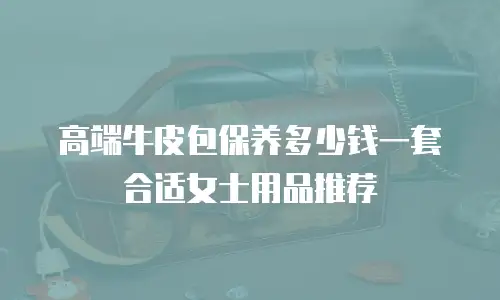 高端牛皮包保养多少钱一套合适女士用品推荐