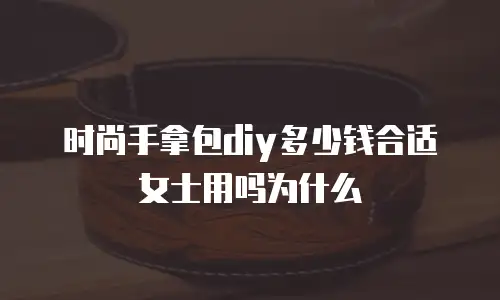 时尚手拿包diy多少钱合适女士用吗为什么