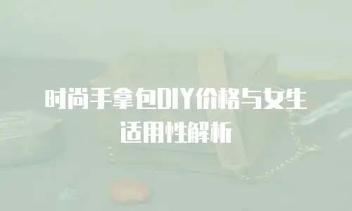 时尚手拿包DIY价格与女生适用性解析