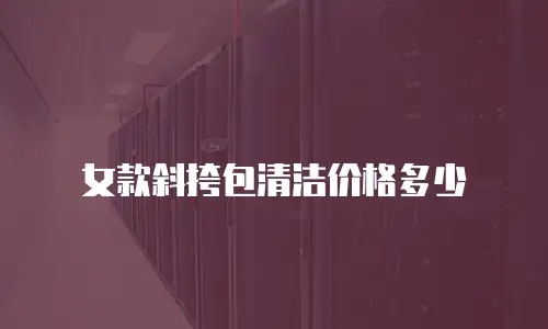 女款斜挎包清洁价格多少