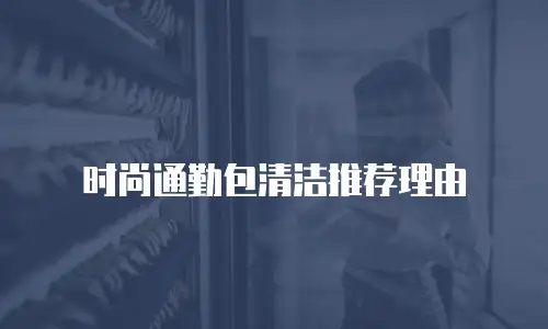 时尚通勤包清洁推荐理由