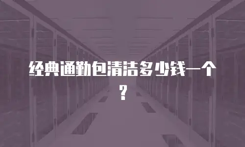 经典通勤包清洁多少钱一个?