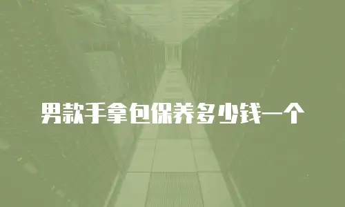 男款手拿包保养多少钱一个