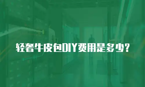 轻奢牛皮包DIY费用是多少？