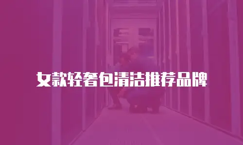 女款轻奢包清洁推荐品牌