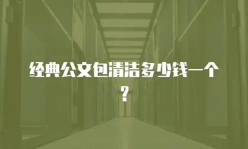 经典公文包清洁多少钱一个?