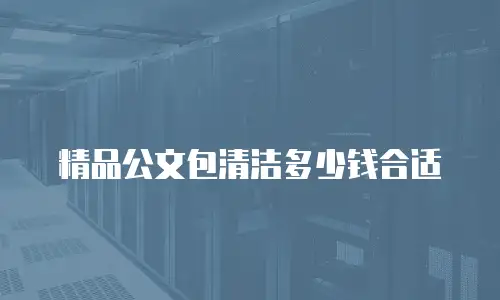 精品公文包清洁多少钱合适