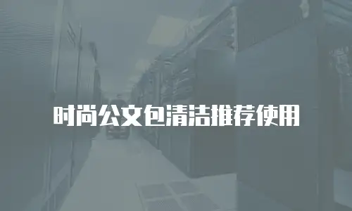 时尚公文包清洁推荐使用