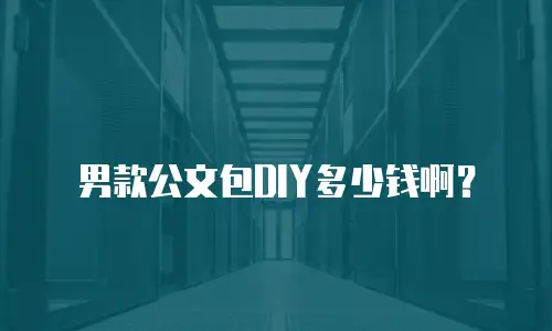 男款公文包DIY多少钱啊？