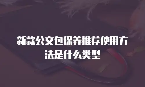 新款公文包保养推荐使用方法是什么类型