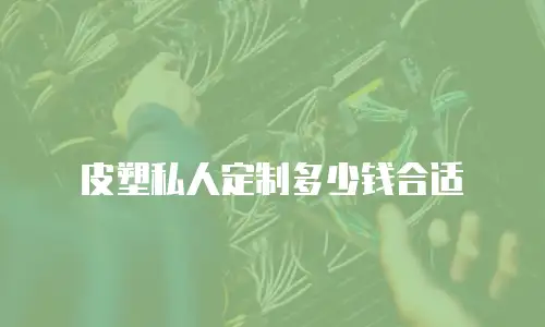 皮塑私人定制多少钱合适