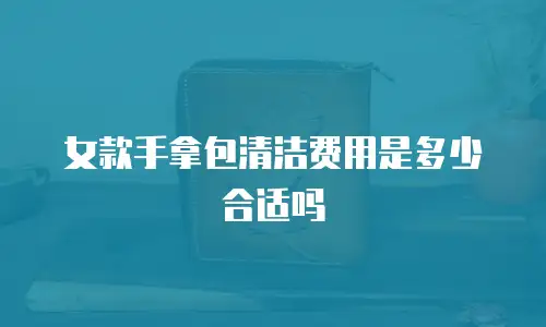 女款手拿包清洁费用是多少合适吗