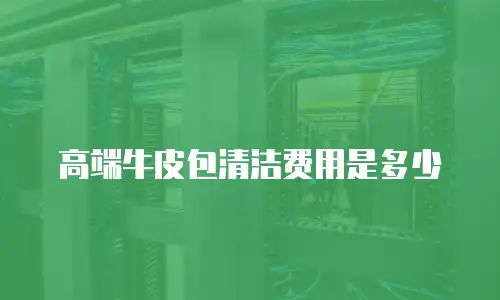 高端牛皮包清洁费用是多少