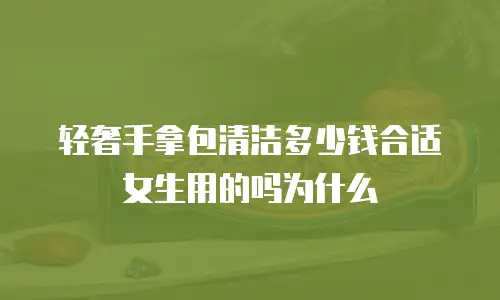轻奢手拿包清洁多少钱合适女生用的吗为什么