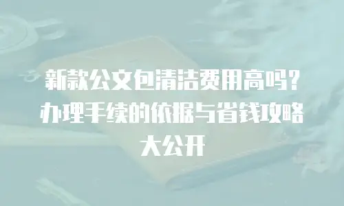 新款公文包清洁费用高吗？办理手续的依据与省钱攻略大公开