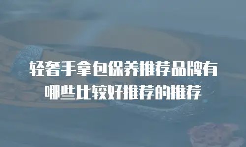 轻奢手拿包保养推荐品牌有哪些比较好推荐的推荐
