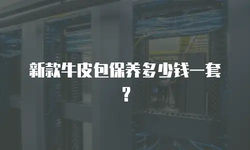 新款牛皮包保养多少钱一套？