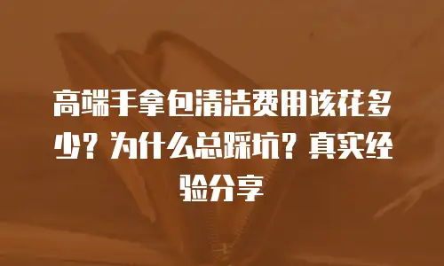 高端手拿包清洁费用该花多少？为什么总踩坑？真实经验分享