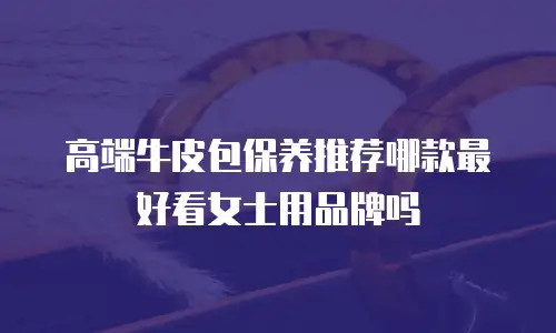 高端牛皮包保养推荐哪款最好看女士用品牌吗
