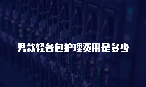 男款轻奢包护理费用是多少