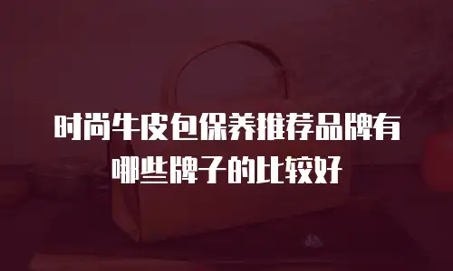 时尚牛皮包保养推荐品牌有哪些牌子的比较好