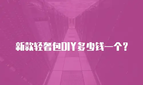 新款轻奢包DIY多少钱一个？