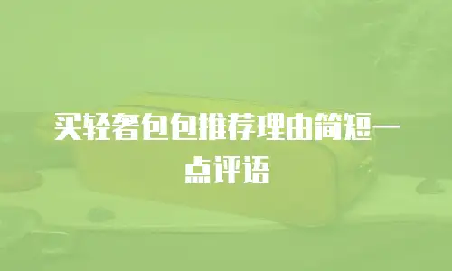 买轻奢包包推荐理由简短一点评语