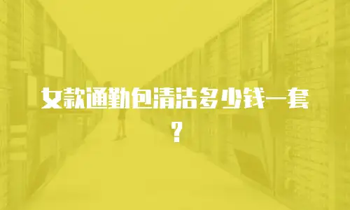 女款通勤包清洁多少钱一套？