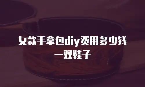 女款手拿包diy费用多少钱一双鞋子
