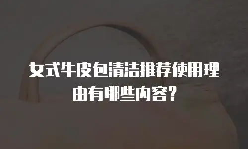 女式牛皮包清洁推荐使用理由有哪些内容？